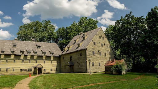 แอดัมส์ทาวน์