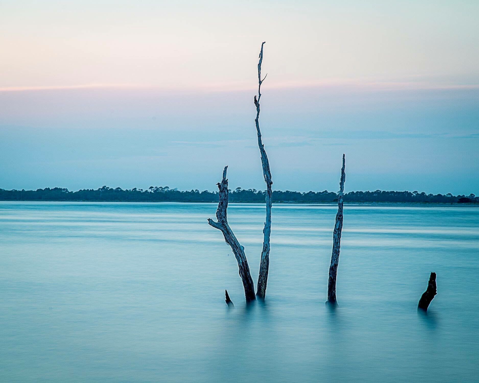 Driftwood at Folly Beach during High Tide #beachtrips 
The far eastern side of Folly Beach provides amazing driftwood, and well as sunset views. 