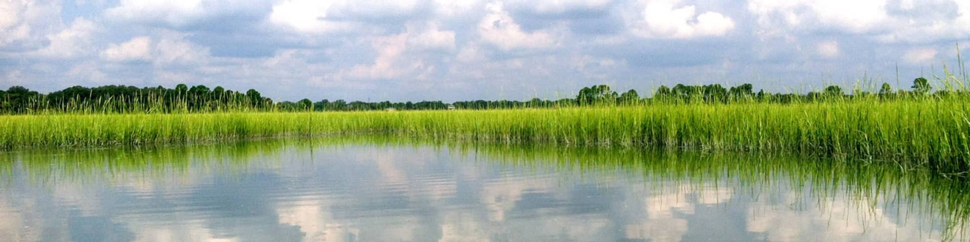 Folly Beach featuring wetlands, kayaking or canoeing and a river or creek