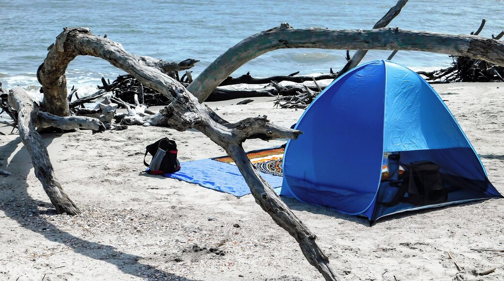Another view of hidden beach near Folly Beach, South Carolina.