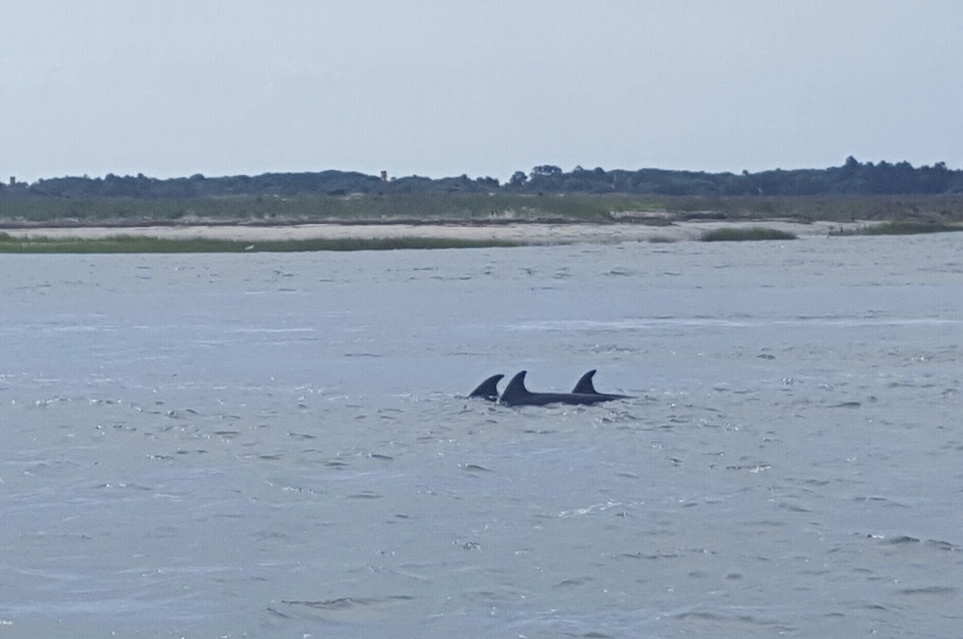 How did you spend your morning? This was mine. 