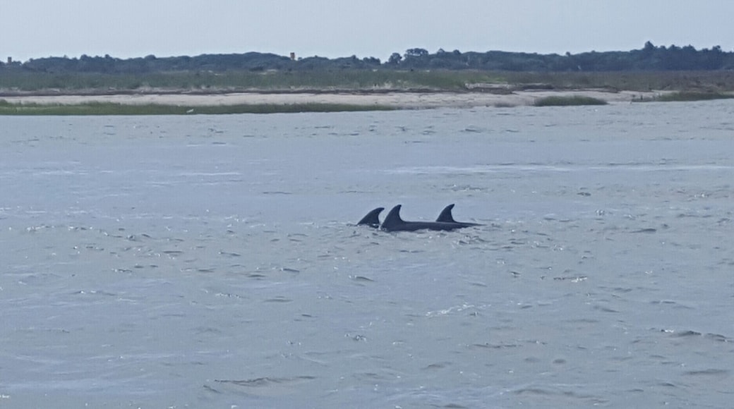 How did you spend your morning? This was mine.