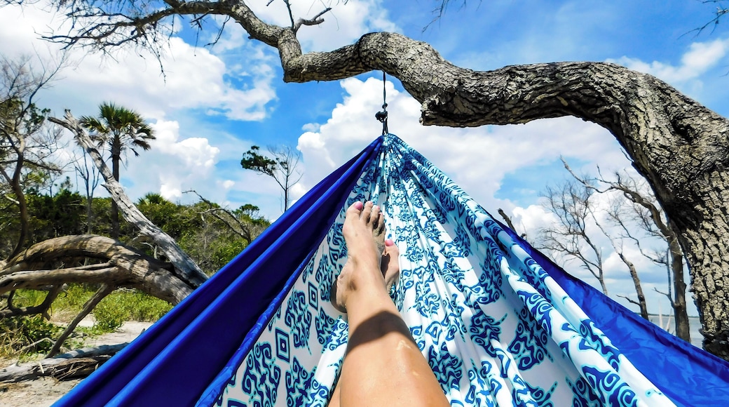 Feed your mind, body and soul. Explore the world around you.