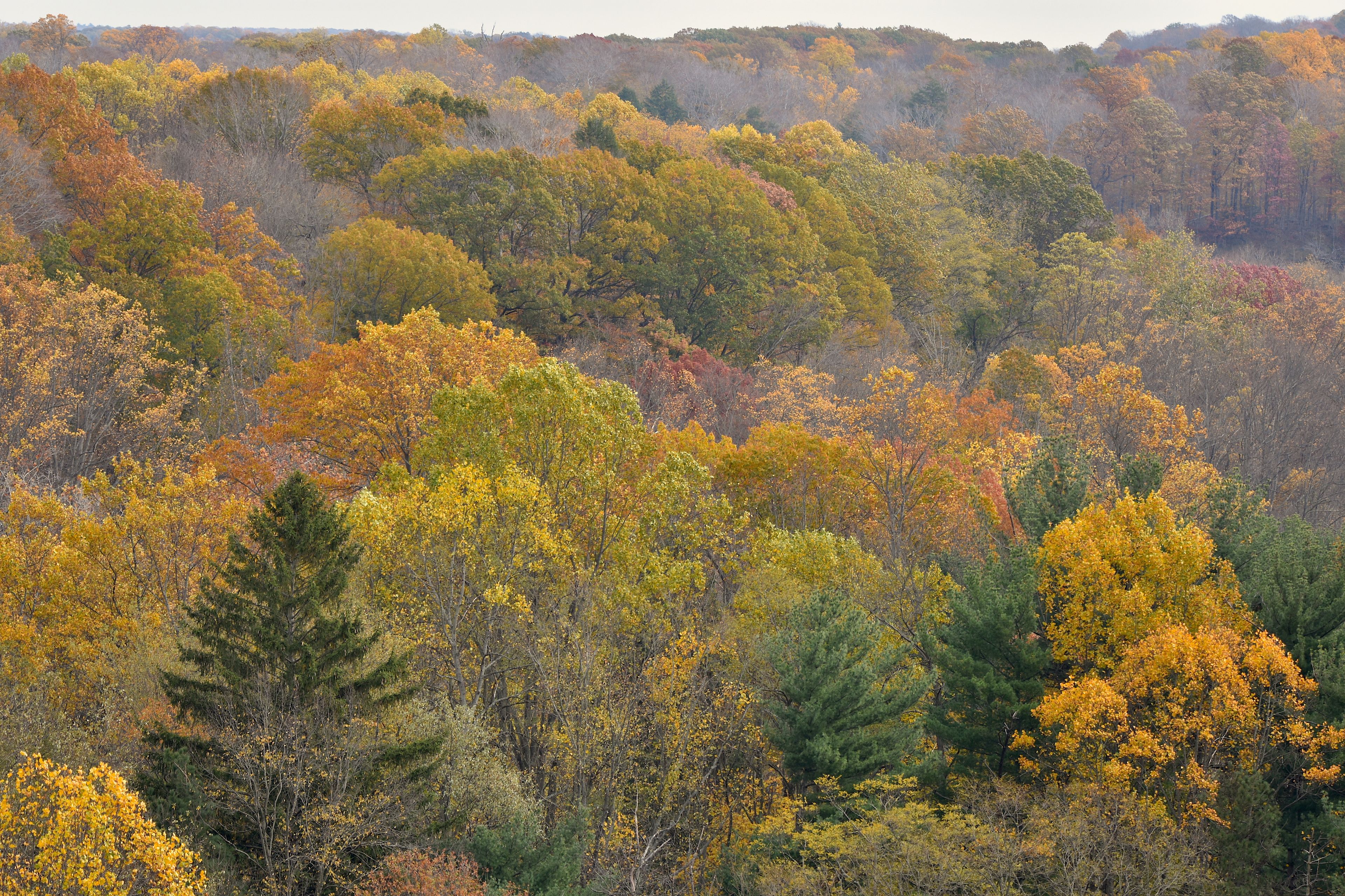 Autumn in Ohio