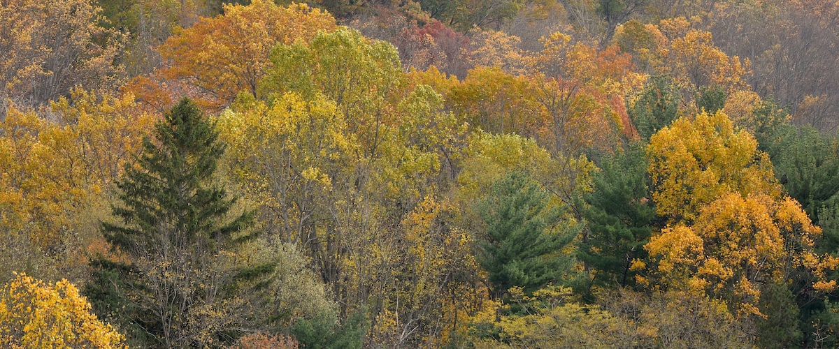 Autumn in Ohio