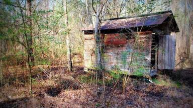 An abandoned shed located right off of a windy road