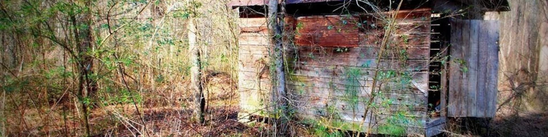 An abandoned shed located right off of a windy road