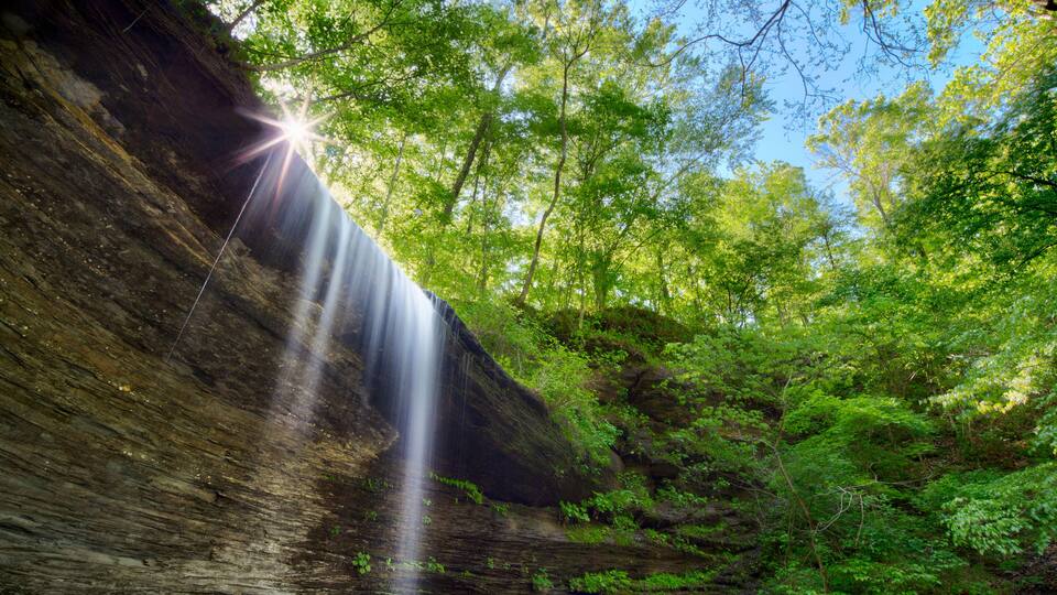A waterfall cascading down a rocky cliff surrounded by lush green forest.