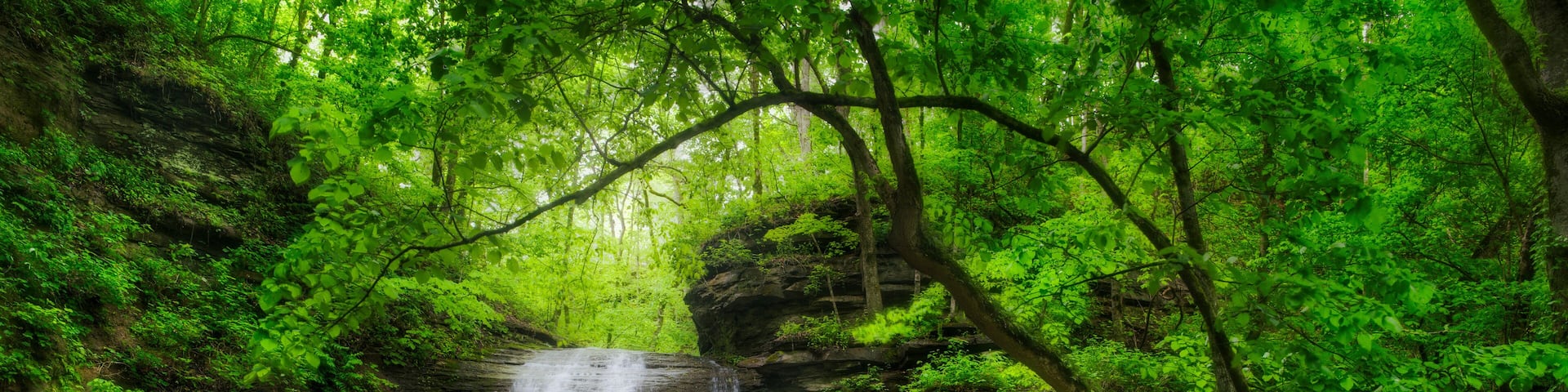 Jackson Falls, Natchez Trace Parkway, Tennessee and Mississippi, USA, Tennessee