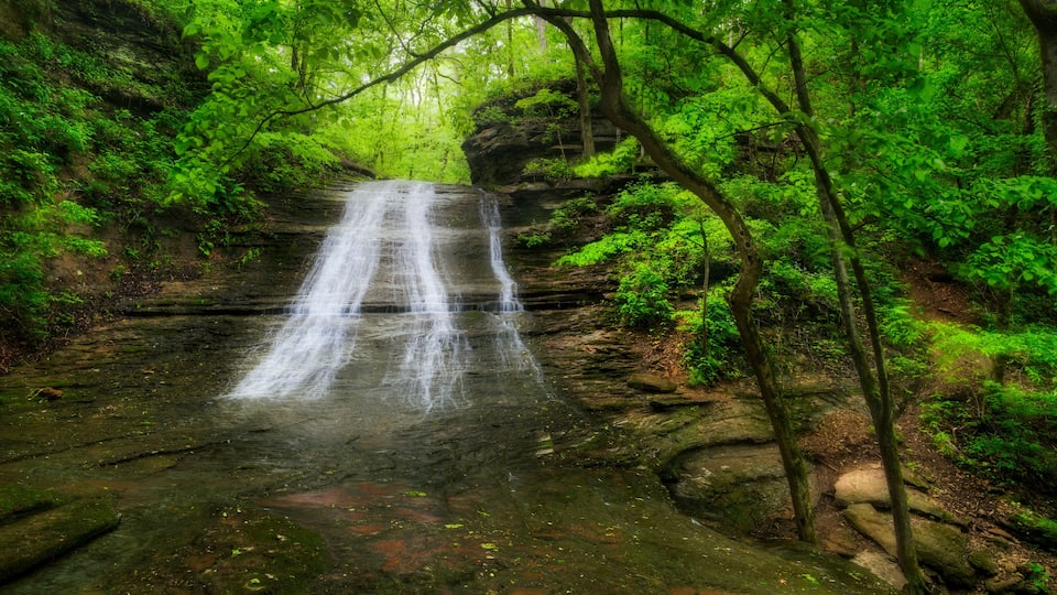 A waterfall in a forested area with dense green foliage and rocky terrain.