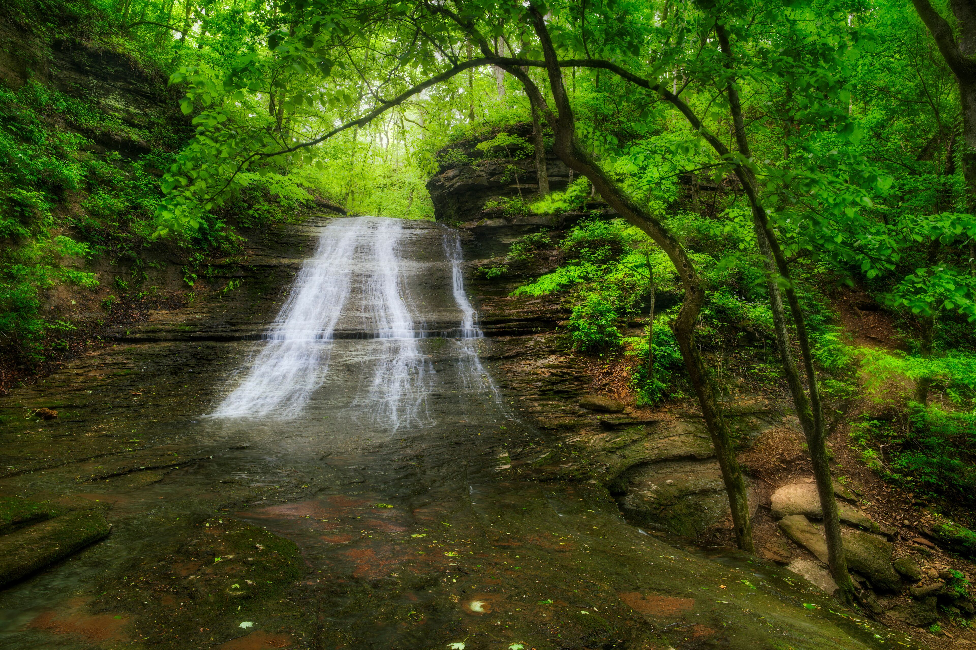 A waterfall in a forested area with dense green foliage and rocky terrain.