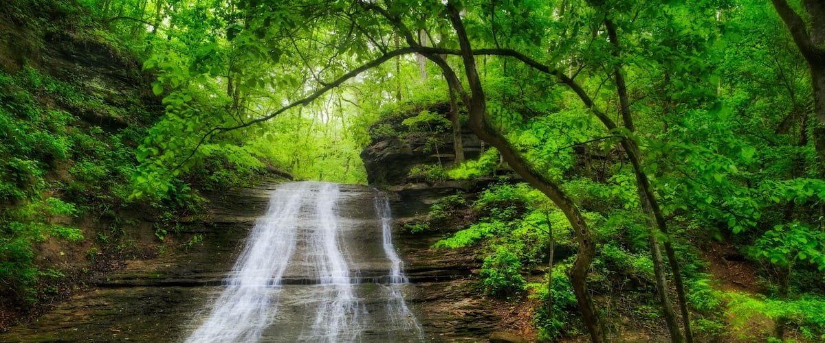 A waterfall in a forested area with dense green foliage and rocky terrain.