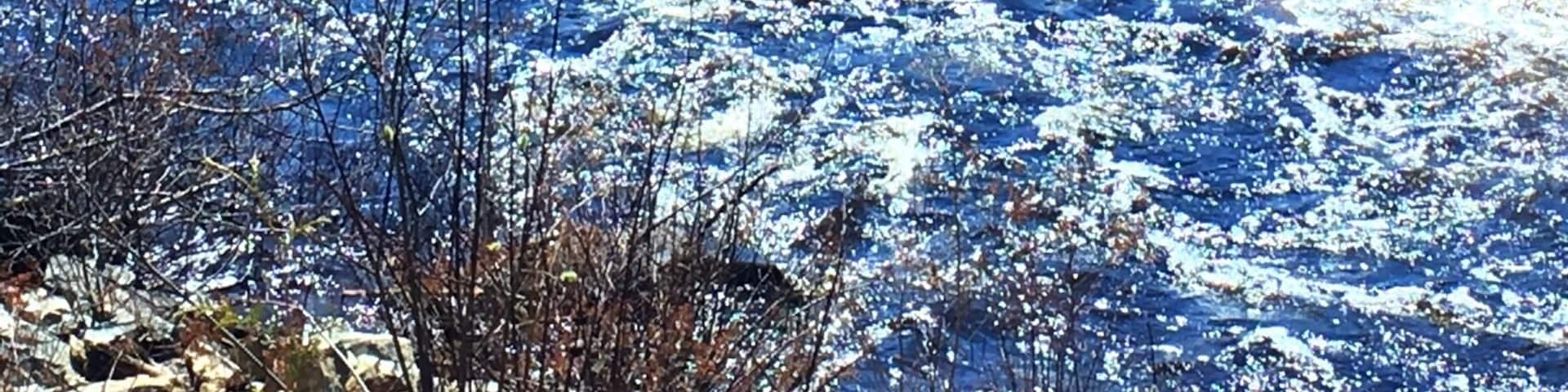 On the way out to the Sturgeon River and Ishpetina Ridge, stopped for a bite by the rapids on the Wahnapitae River.