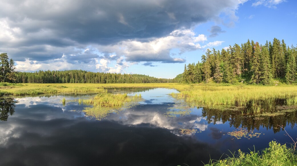 Unorganized North Sudbury