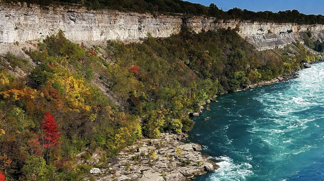 Riding the car over the falls.