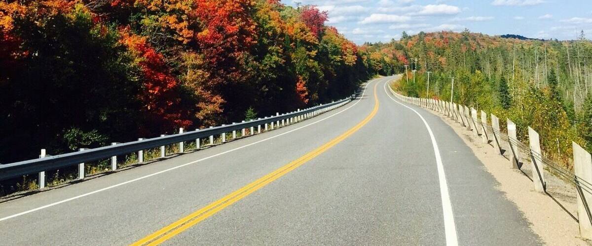 ...Highway 60 Corridor towards Algonquin Park. 😍...the trees!!