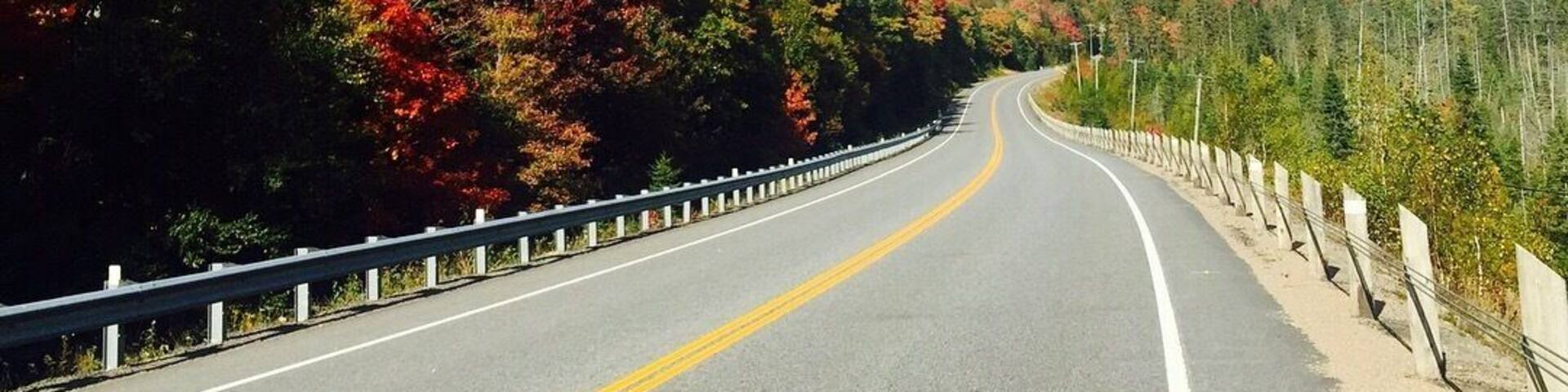 ...Highway 60 Corridor towards Algonquin Park. 😍...the trees!!