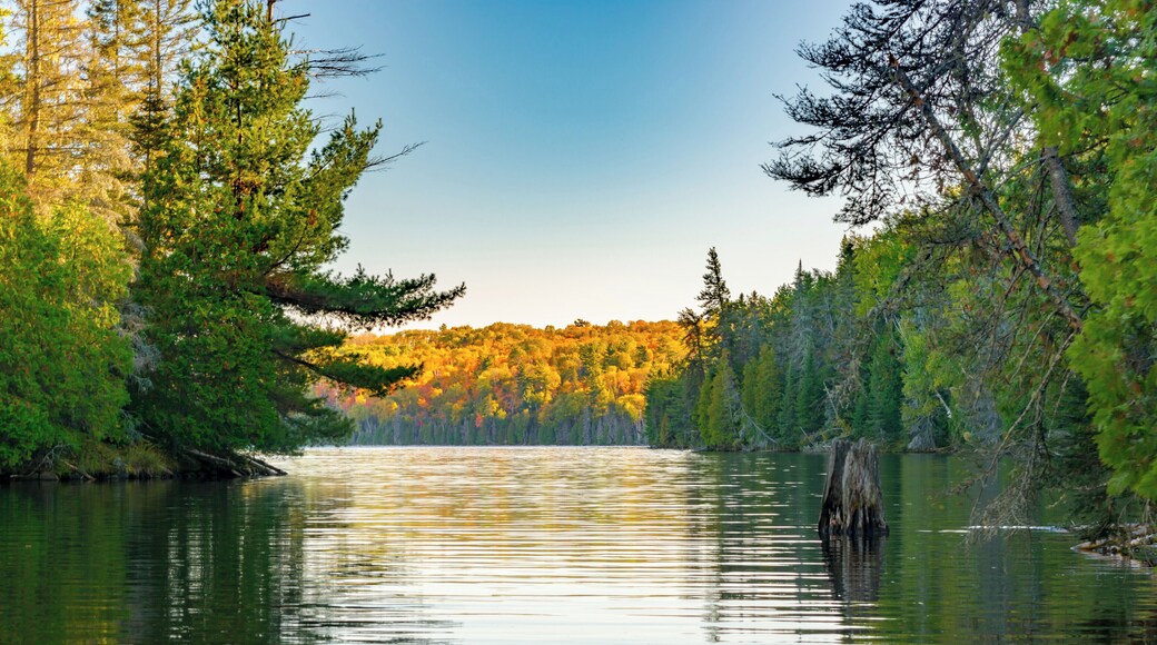 This beautiful lake is surrounded by old growth forest yet you can see the remains of a forest fire from 100+ years ago. Clear water also makes it a wonderful location.