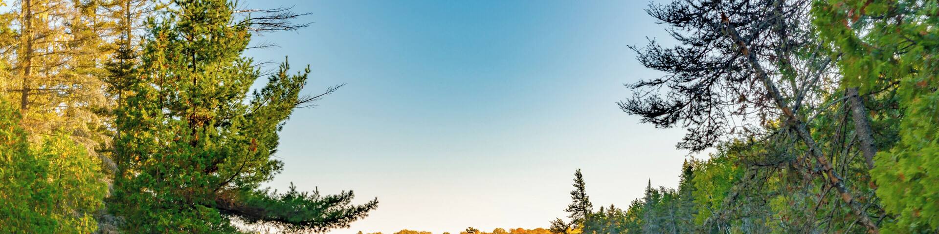 This beautiful lake is surrounded by old growth forest yet you can see the remains of a forest fire from 100+ years ago. Clear water also makes it a wonderful location.