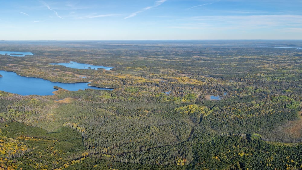 A vast forested landscape with multiple lakes and a clear sky.