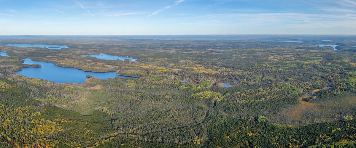 A vast forested landscape with multiple lakes and a clear sky.