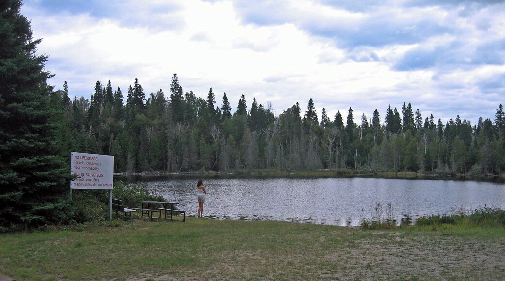 Stopped overnight at this campground in Lake Superior National Park. Nearest town of any consequence is Wawa and that is some distance away. The place felt gloriously remote although it is just off the Trans-Canada Highway. This I believe is Rabbit Blanket Lake and nearby is the South Old Woman River. Apart from being very beautiful you just have to love the names! #GreatOutdoors