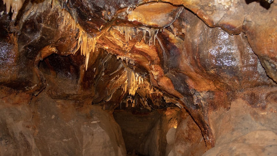 A cave with stalactites and stalagmites.