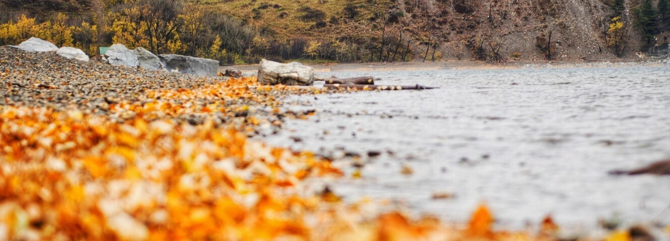 Waterton lakes national park lakeshore in autumn foliage season under cloudy sky, landmarks, Canada
