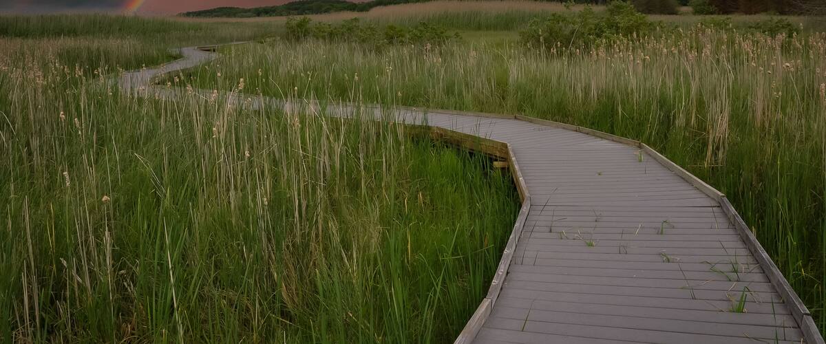 Boardwalk with rainbow on the horizon
