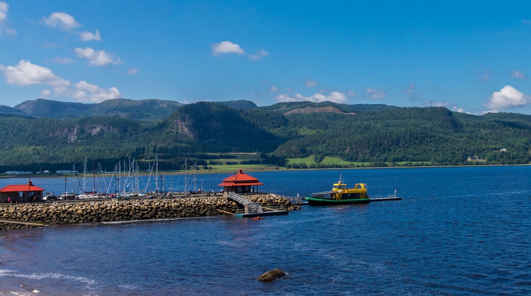 A lake with a dock, a small red building, and a yellow boat.