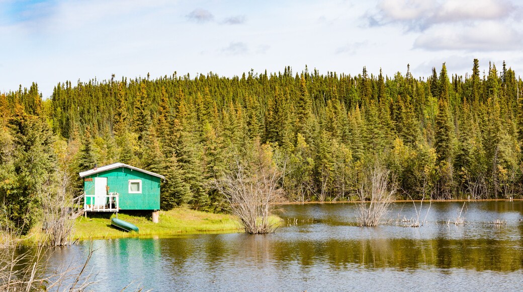 Cozy Cabin in Peel River Valley NWT Canada