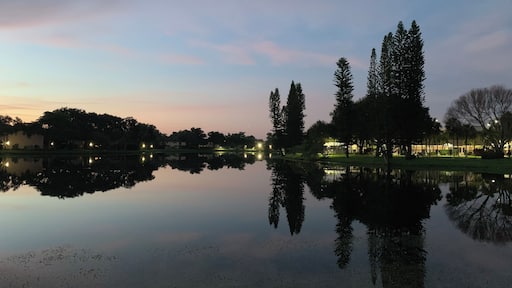 My quiet place for exercises in the morning.