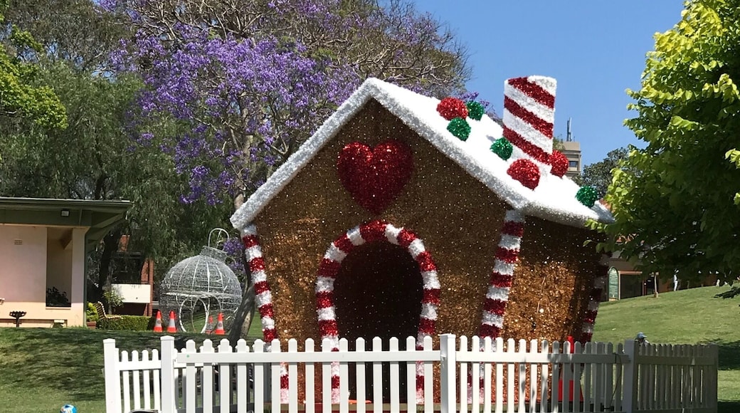 A little bit of Christmas in Civic Park, North Sydney #Christmas