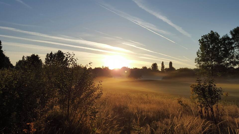 A sunrise over a field with trees and a clear sky.