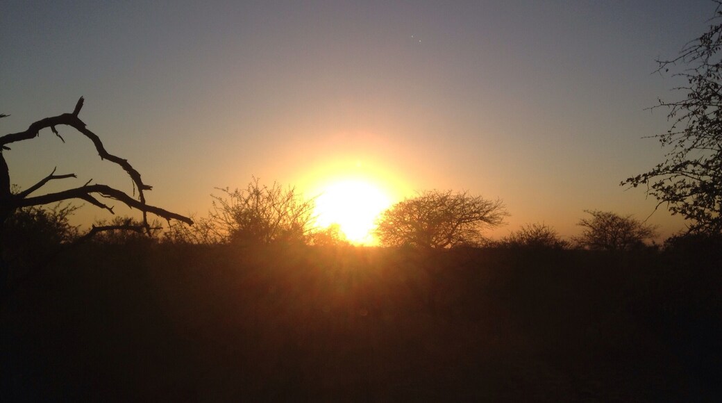 Sunrise at Kruger. National Park, South Africa.