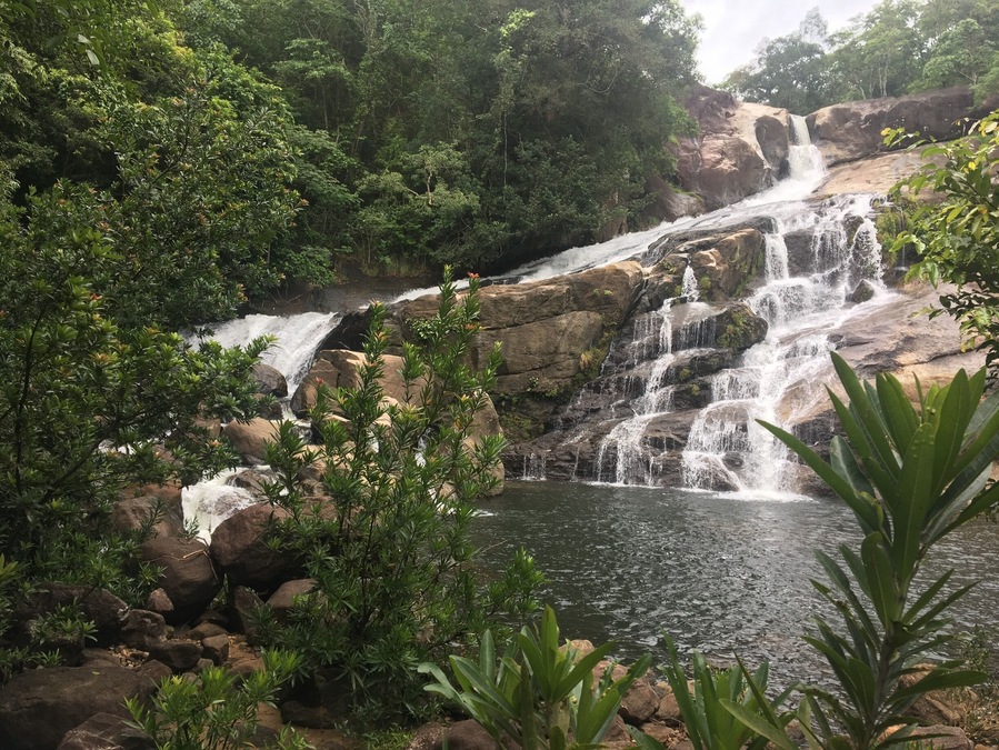 Meenmutty Falls is a waterfall located 45 kilometres (28 mi) from Trivandrum city in Thiruvananthapuram District in the Indian state of Kerala, India.
Meenmutty waterfall is located close to the Neyyar dam; trekking is the only way to reach up till the waterfall area. En route the trek, there are dense forests making the journey quite adventurous.