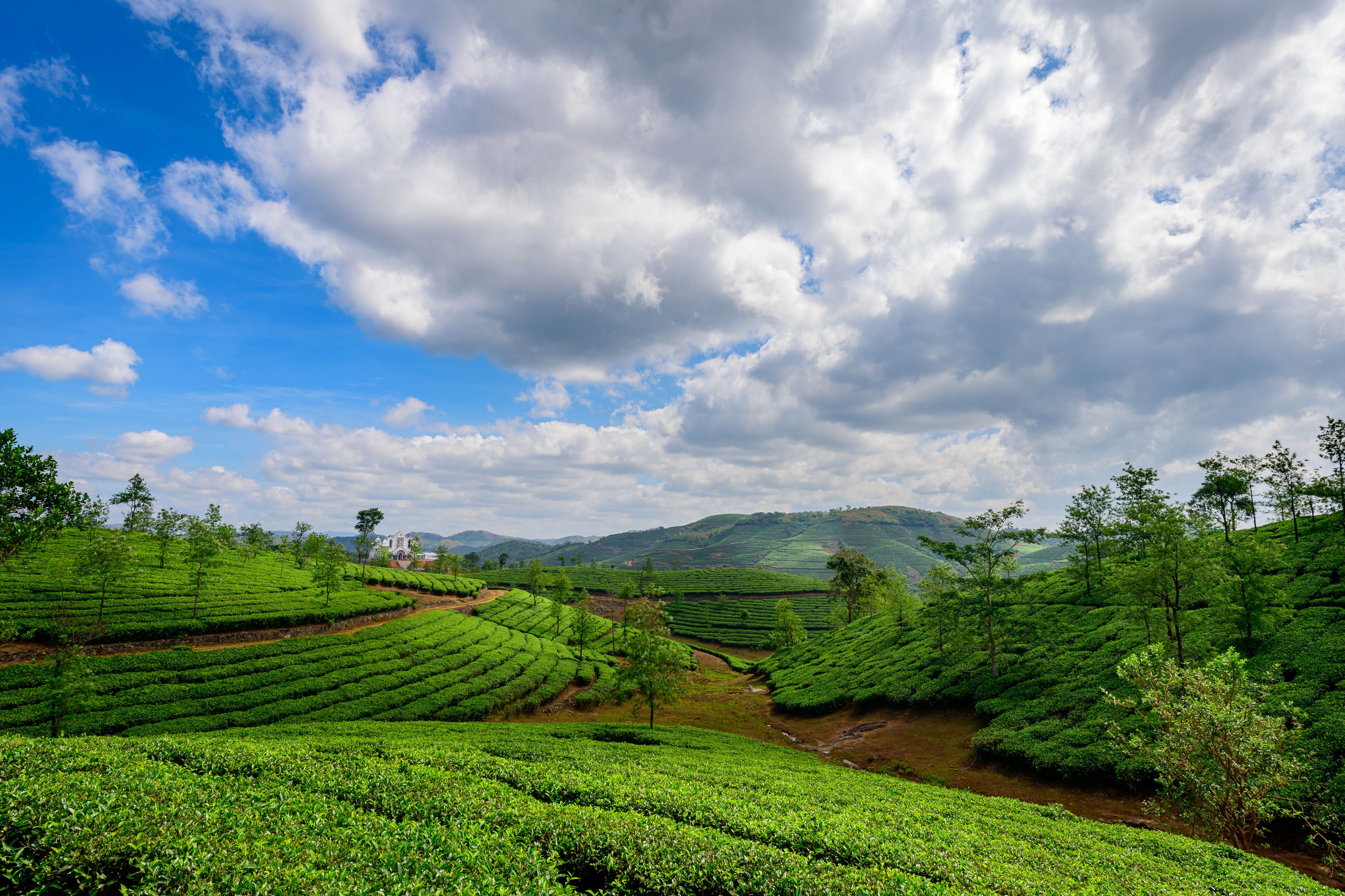 A lush tea plantation with terraced fields, a white building, and a mountainous backdrop under a partly cloudy sky.