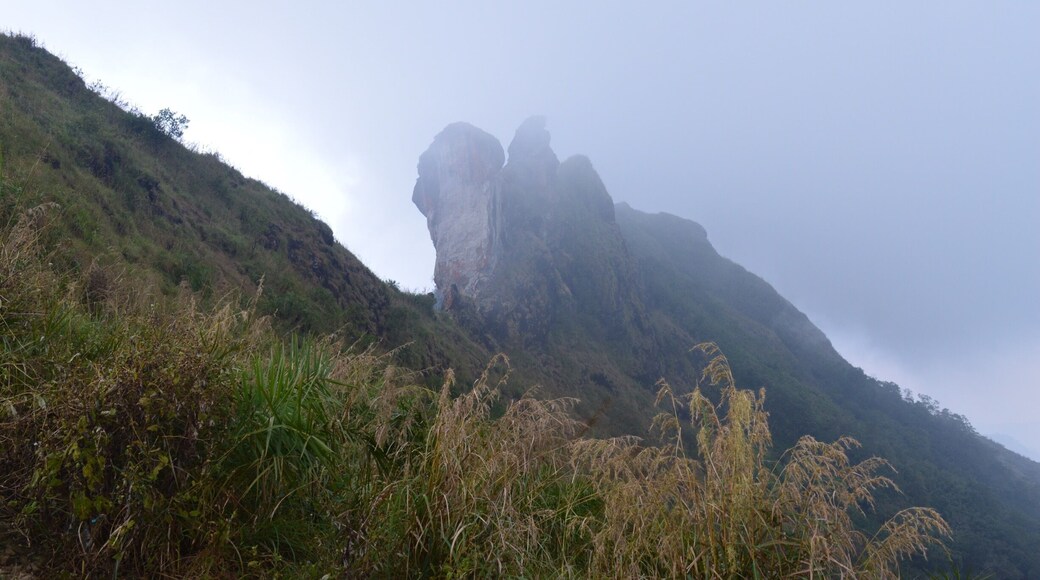 Awesome 😎 #cool#adventure #TakeAhike#fog 🏔🗻❄️❄️🌧🌧