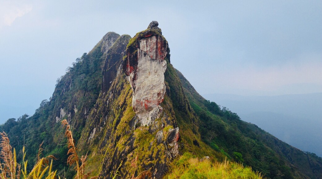 Amazing #Cool #Adventurous#Kerala#Gods own country#TakeAhike 😎😎😊🏔🏔⛰