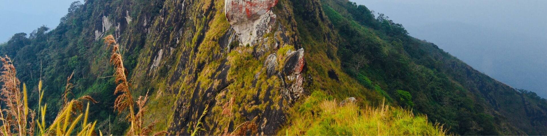 Amazing #Cool #Adventurous#Kerala#Gods own country#TakeAhike 😎😎😊🏔🏔⛰