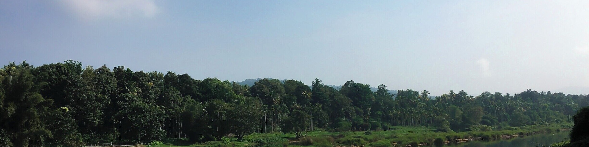 Kerala - God's own country. Indeed, it is!
Lush green, bright sunlight, backwaters and houseboats, rivers and canoes, swaying palm trees and yummy food!
Kerala is a must visit if you love nature :)
The lush green Malayatoor forest, the calm flow of the Periyar river, and the boat and its man- this photo captures the essence of Kerala for me.
Kodanad is a small, simple, beautiful part of Kerala which is around an hour drive from Kochi. It is perfect for people who wants to get to know the place and experience Kerala.
Must do things: Trek malayattoor, see Elephants bath on Periyar river, get oil massage in Kerala style and very importantly try Kerala food :)