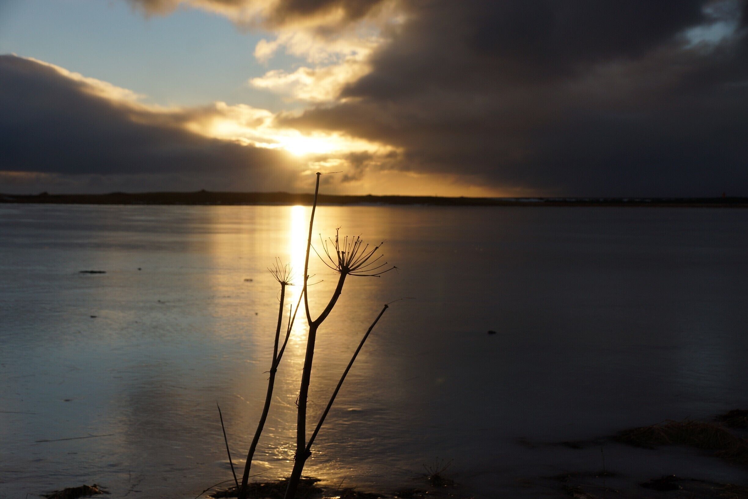 Winter sunrise.  Luckily for me, not being a morning person, the sun gets up late in winter in Iceland.
