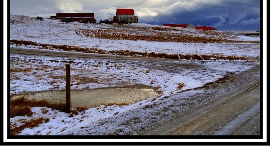 With 20 m/sec winds and sideways snow, it's best to stay near town.