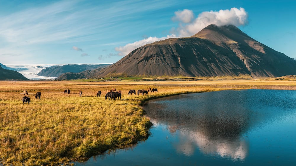 Beautiful, dramatic Iceland landscape with mountains reflections in a river, glacier and Icelandic horses, Europe