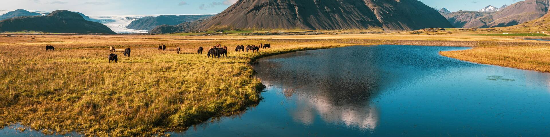 Beautiful, dramatic Iceland landscape with mountains reflections in a river, glacier and Icelandic horses, Europe