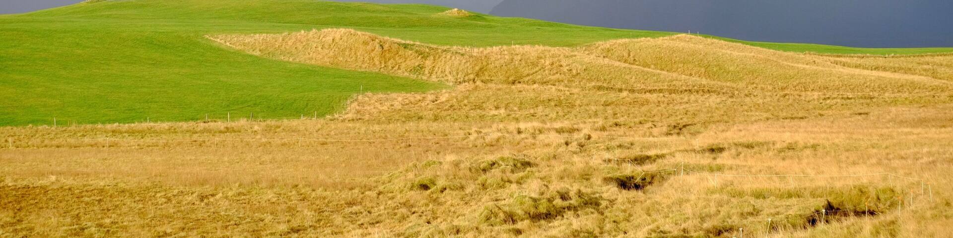 Iceland is a magical place. I've never seen so many rainbows in such a short time. Single or double, every day we had a show! The glacier near Höfn is quite grandiose, but this rainbow with dark skies and great sun kinda stole the show!
#Golden
