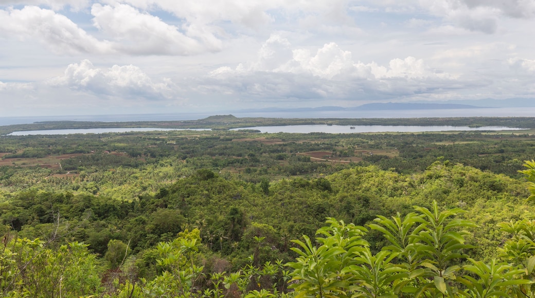 Un paisaje verde exuberante con vegetación densa, una masa de agua extensa y montañas distantes bajo un cielo nublado.