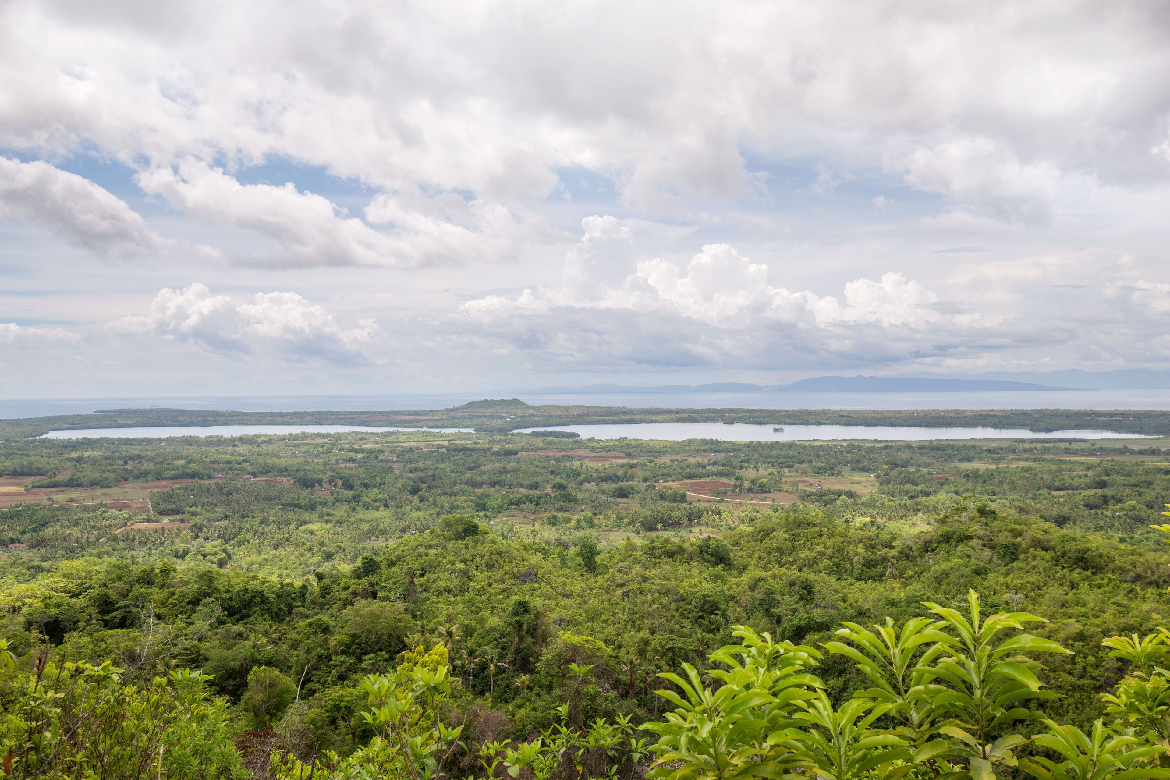 Un paisaje exuberante y verde con vegetación densa, una masa de agua distante y un cielo nublado.