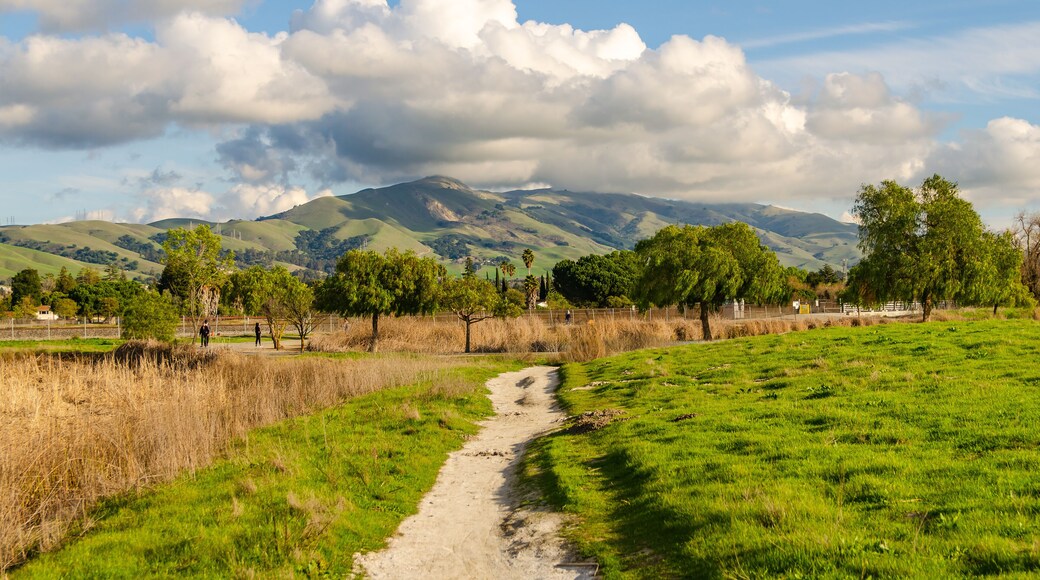 Central Park in Fremont, California