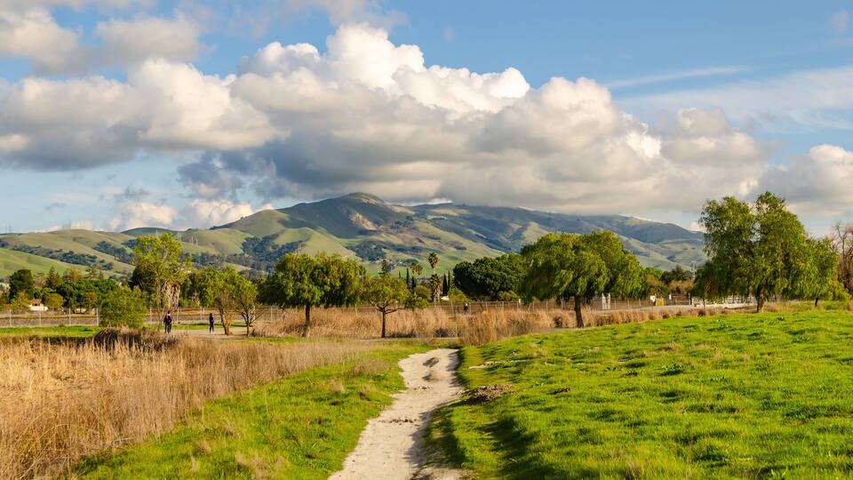 Central Park in Fremont, California